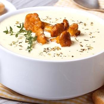 Грибной суп-пюре из лисичек: рецепты первых блюд