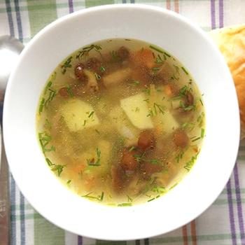 Рецепты приготовления супа из свежих опят