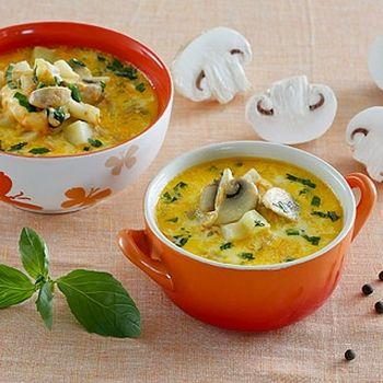Суп из шампиньонов с плавленым сыром: рецепты первых блюд