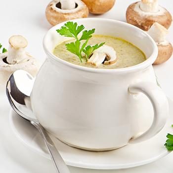 Рецепты приготовления супа из свежих белых грибов (с фото и видео)