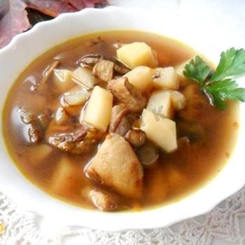Рецепты вкусных супов из грибов рядовок