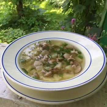 Супы из маслят: рецепты из свежих и замороженных грибов