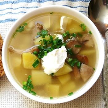 Супы из груздей: рецепты первых блюд