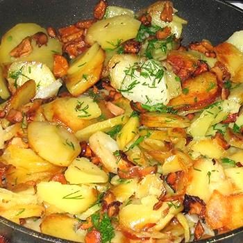 Лисички с картошкой, приготовленные на сковороде