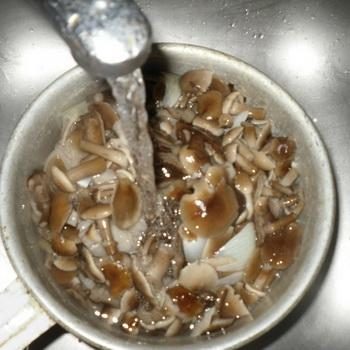 Как чистить и мыть грибы опята после леса