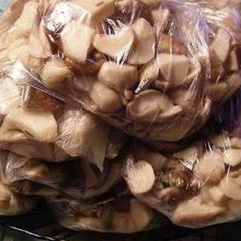Заморозка грибов вешенок на зиму в домашних условиях