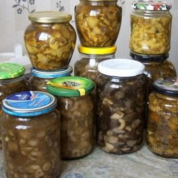 Маринованные грибы на зиму: домашние рецепты