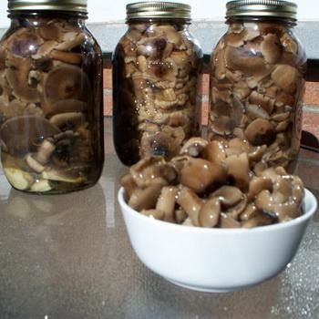 Домашние способы заготовки грибов на зиму