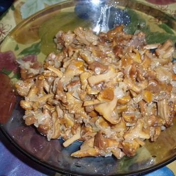 Лисички с мясом: рецепты сытных грибных блюд