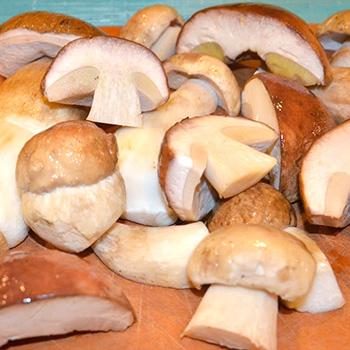 Как готовить свежие белые грибы