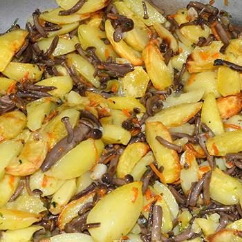 Свежие опята с картошкой: рецепты жарки и тушения грибов