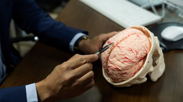 Правое или левое: какое полушарие мозга управляет вами