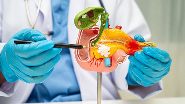 Панкреатит: что можно и что нельзя, когда болит поджелудочная железа