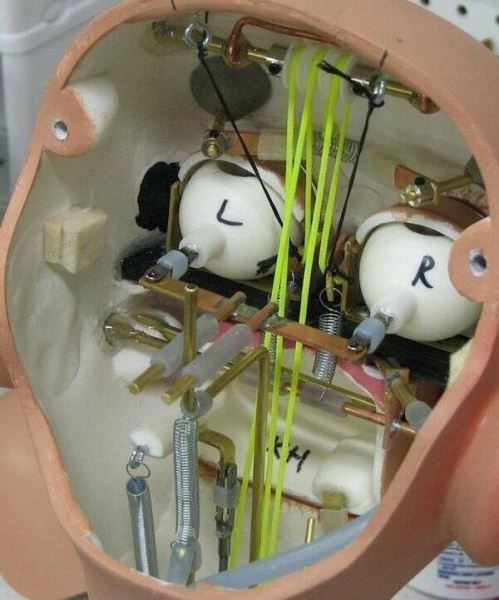 Наизнанку: что внутри? (17 фото)