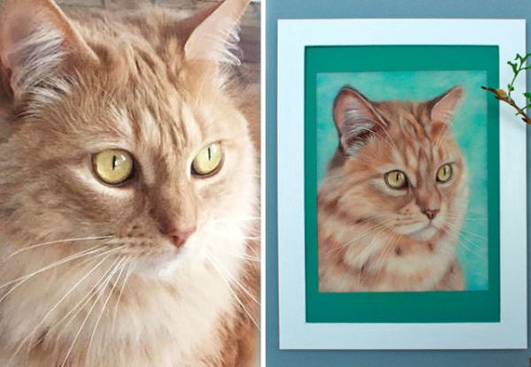 Реалистичные портреты питомцев: когда каждая шерстинка и ус на своём месте (31 фото)