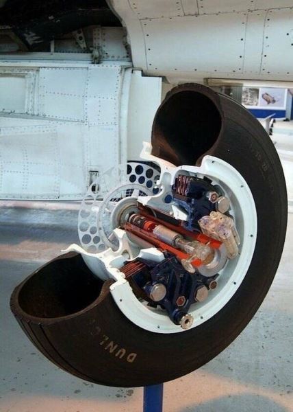 Наизнанку: что внутри? (17 фото)