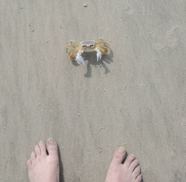 20+ раз, когда люди отправились на пляж и нашли то, чего меньше всего ожидали