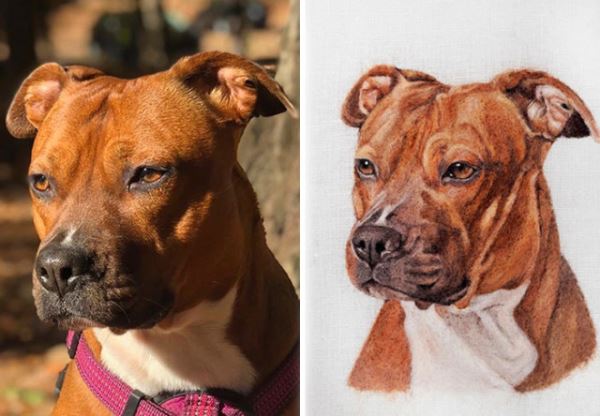 Реалистичные портреты питомцев: когда каждая шерстинка и ус на своём месте (31 фото)