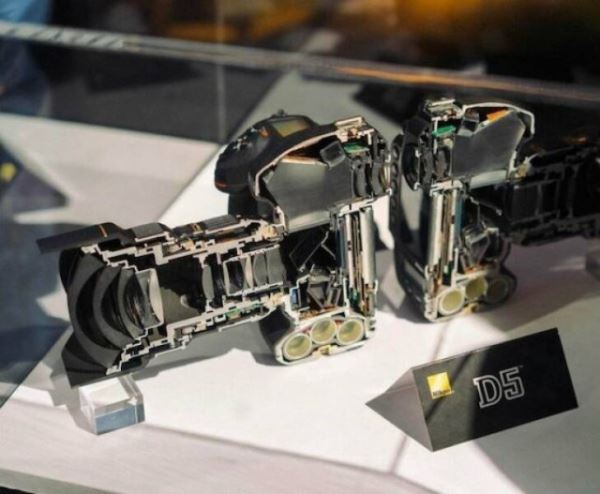 Наизнанку: что внутри? (17 фото)