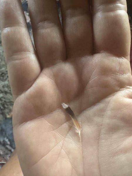 Интересные снимки обо всём на свете (27 фото)