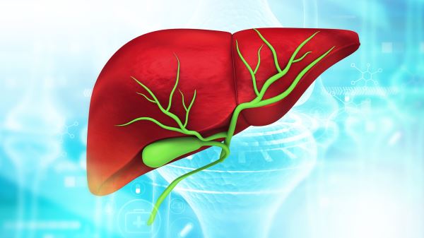 Застой желчи: модный диагноз или реальная проблема