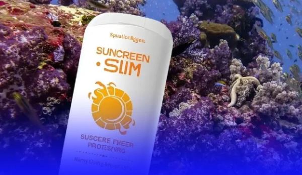 В Таиланде штрафуют за использование солнцезащитного крема на коралловых рифах