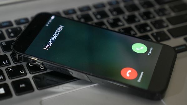 В МВД рассказали об использовании мошенниками иранских и грузинских номеров