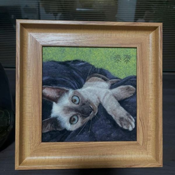 Войлочные питомцы, которые выглядят настолько реалистично, что заставляют усомниться, живые они или нет (24 фото)