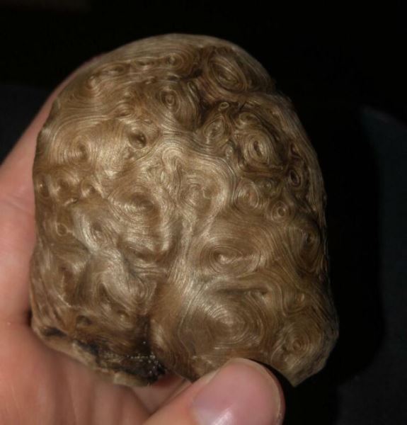 20+ раз, когда люди отправились на пляж и нашли то, чего меньше всего ожидали