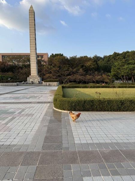 Интересные снимки обо всём на свете (16 фото)