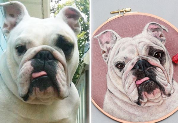 Реалистичные портреты питомцев: когда каждая шерстинка и ус на своём месте (31 фото)