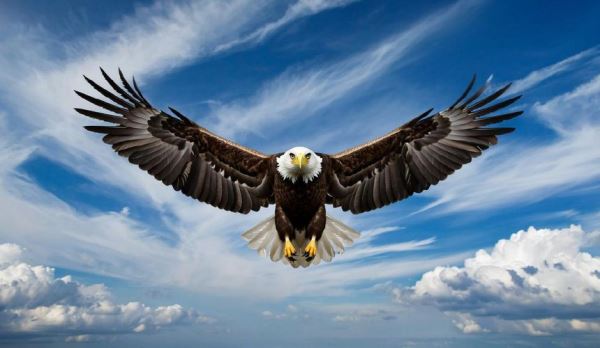 Библио-Глобус готовится расширить розницу за счет Fun&Sun