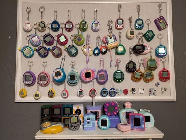 Уникальные и странные коллекции (18 фото)