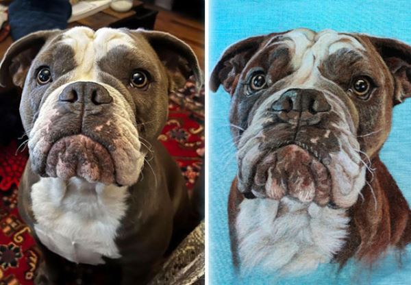 Реалистичные портреты питомцев: когда каждая шерстинка и ус на своём месте (31 фото)