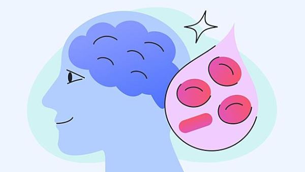 Врач перечислила 5 способов улучшить мозговое кровообращение