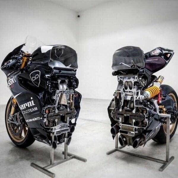 Наизнанку: что внутри? (17 фото)