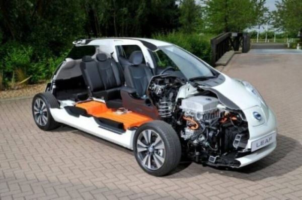 Наизнанку: что внутри? (17 фото)