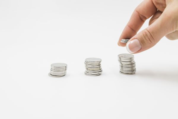 29 тысяч за год: власти подсчитывают доходы от турналога