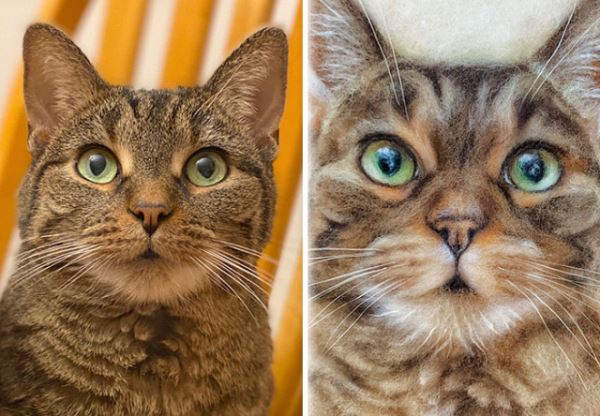 Реалистичные портреты питомцев: когда каждая шерстинка и ус на своём месте (31 фото)