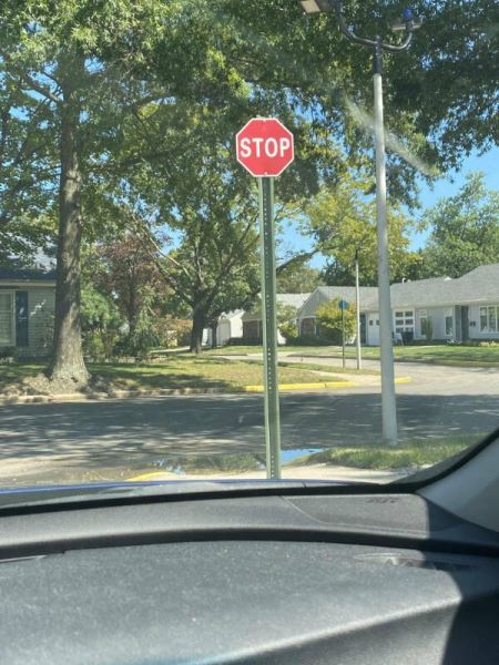 Интересные снимки обо всём на свете (27 фото)