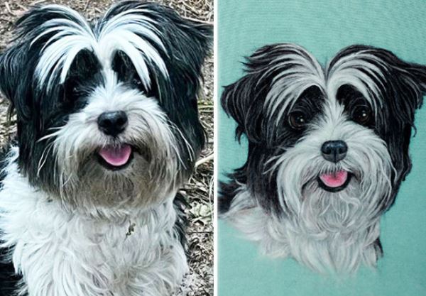 Реалистичные портреты питомцев: когда каждая шерстинка и ус на своём месте (31 фото)