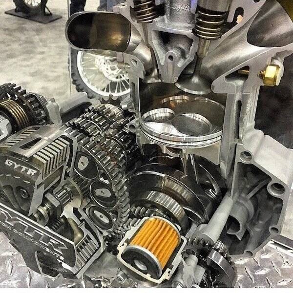 Наизнанку: что внутри? (17 фото)