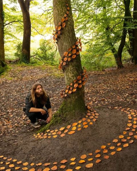 Природа в идеальном порядке: художник создаёт завораживающее искусство из камней и листьев (26 фото)