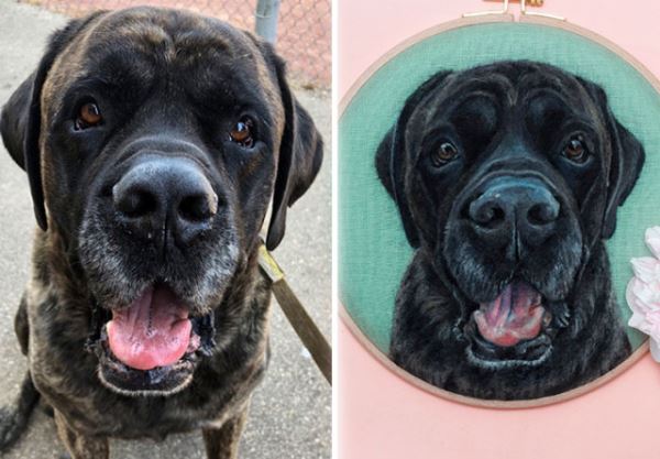 Реалистичные портреты питомцев: когда каждая шерстинка и ус на своём месте (31 фото)