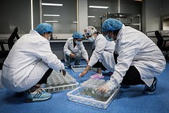 Китайские ученые предупредили о климатической катастрофе из-за перегрева океанов